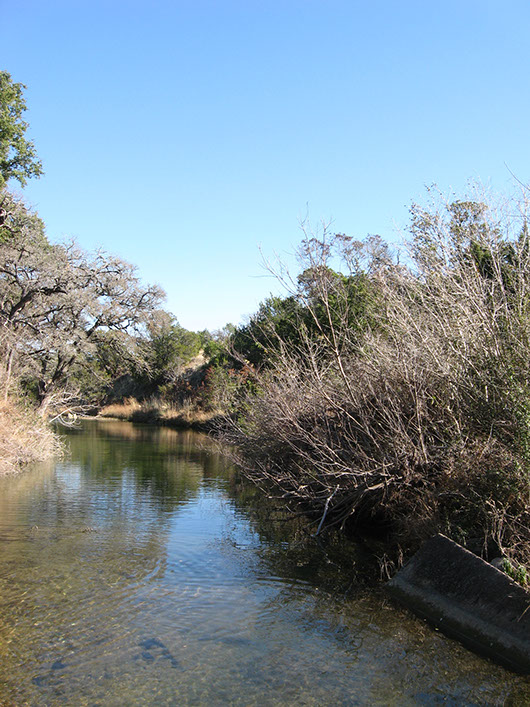 epriparian_juniper_shrubland_site745.jpg