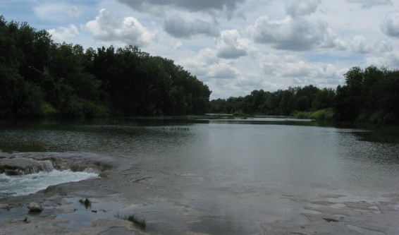 Example Edwards Plateau: Floodplain Hardwood Forset.jpg