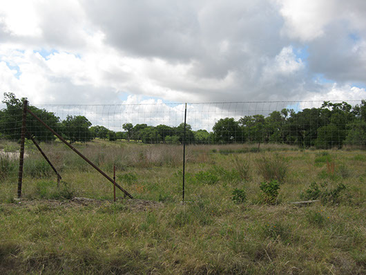 epfloodplain_herbaceous_site2208.jpg epfloodplain_herbaceous_site2208.jpg