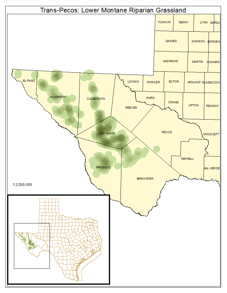 Trans-Pecos: Lower Montane Riparian Grassland