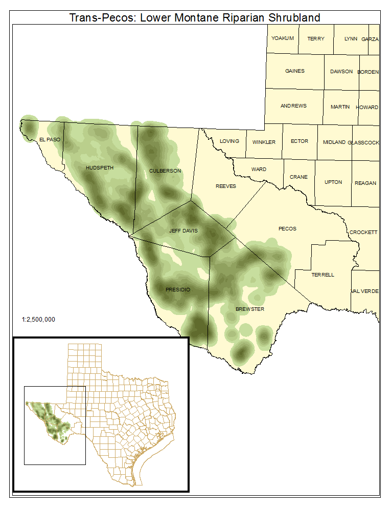 Trans-Pecos: Lower Montane Riparian Shrubland