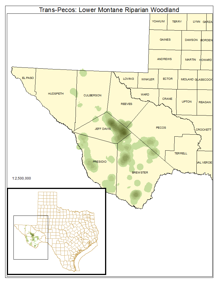 Trans-Pecos: Lower Montane Riparian Woodland