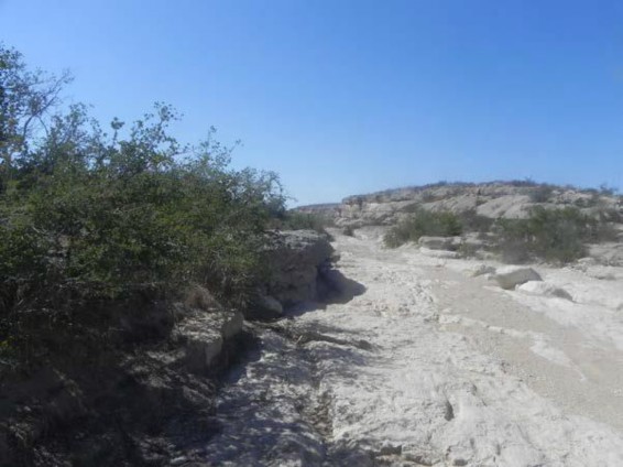 Example Trans-Pecos: Riparian Barren.jpg