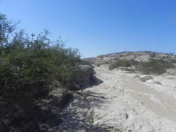 Example Trans-Pecos: Riparian Barren.jpg Example Trans-Pecos: Riparian Barren.jpg