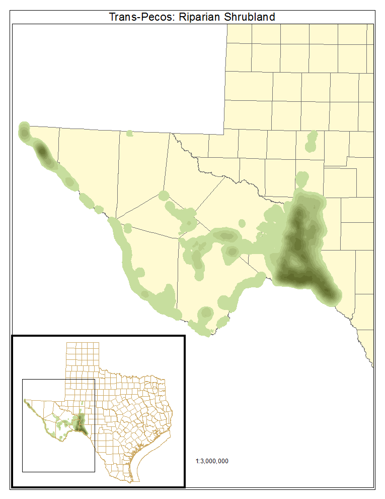 Trans-Pecos: Riparian Shrubland