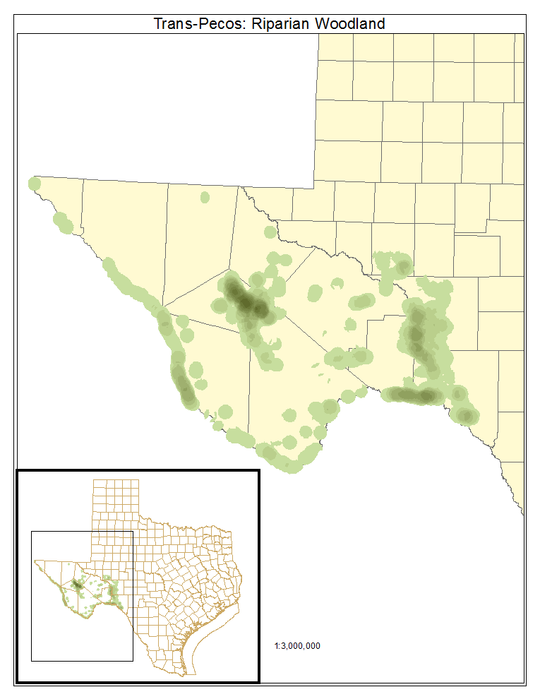 Trans-Pecos: Riparian Woodland