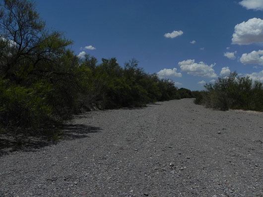 trans pecos-desert wash gravel bar-878a.jpg trans pecos-desert wash gravel bar-878a.jpg
