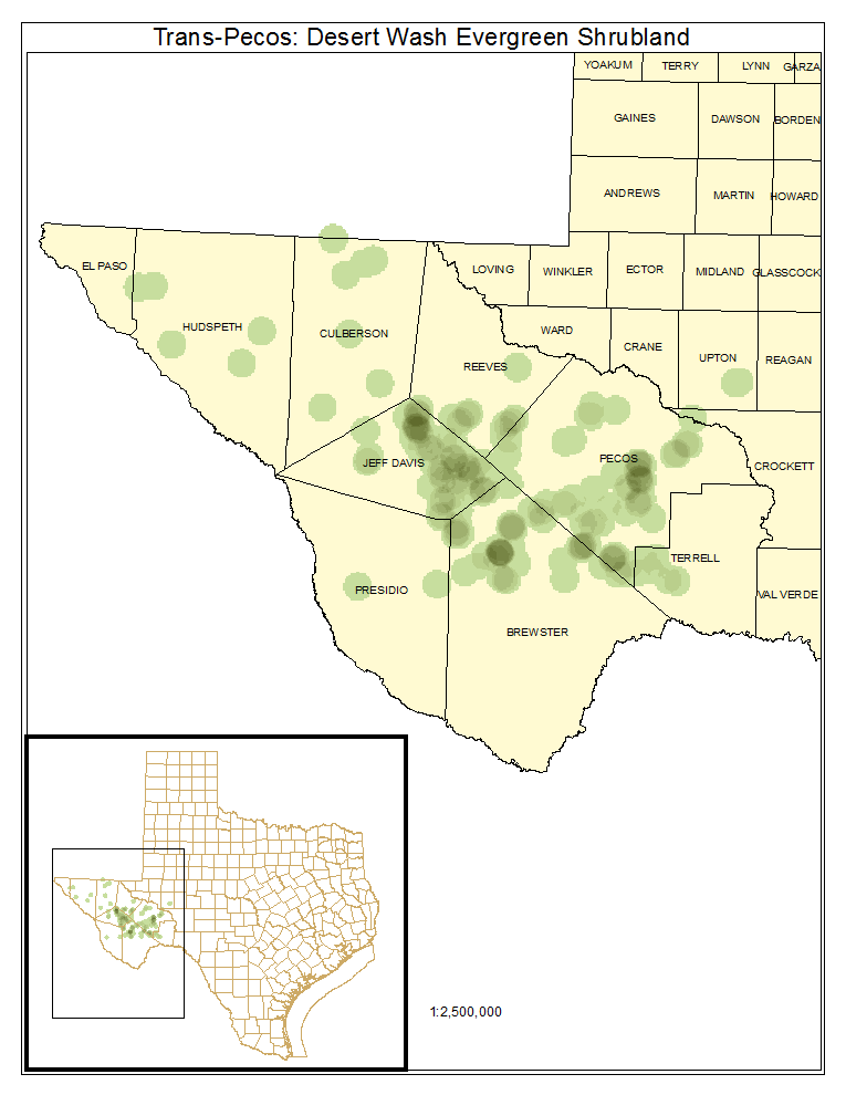 Trans-Pecos: Desert Wash Evergreen Shrubland