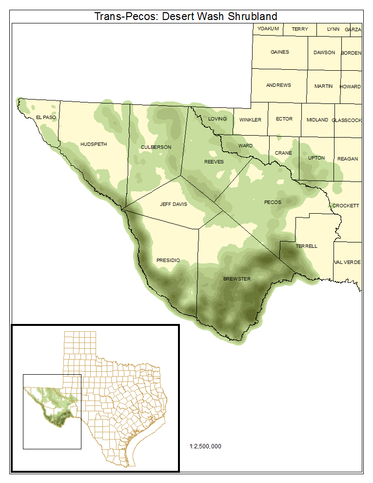 Trans-Pecos: Desert Wash Shrubland