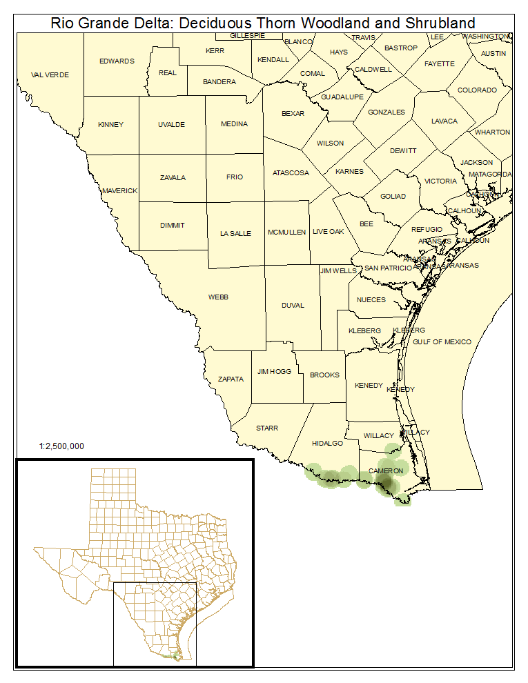 Rio Grande Delta: Deciduous Thorn Woodland and Shrubland