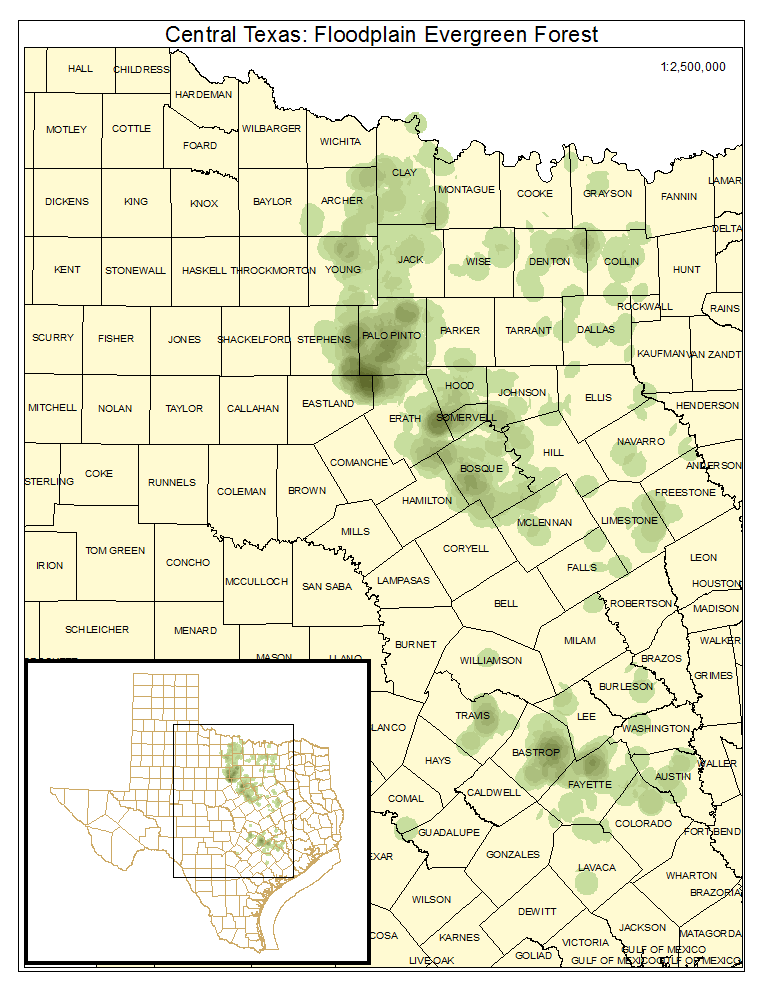 Central Texas: Floodplain Evergreen Forest