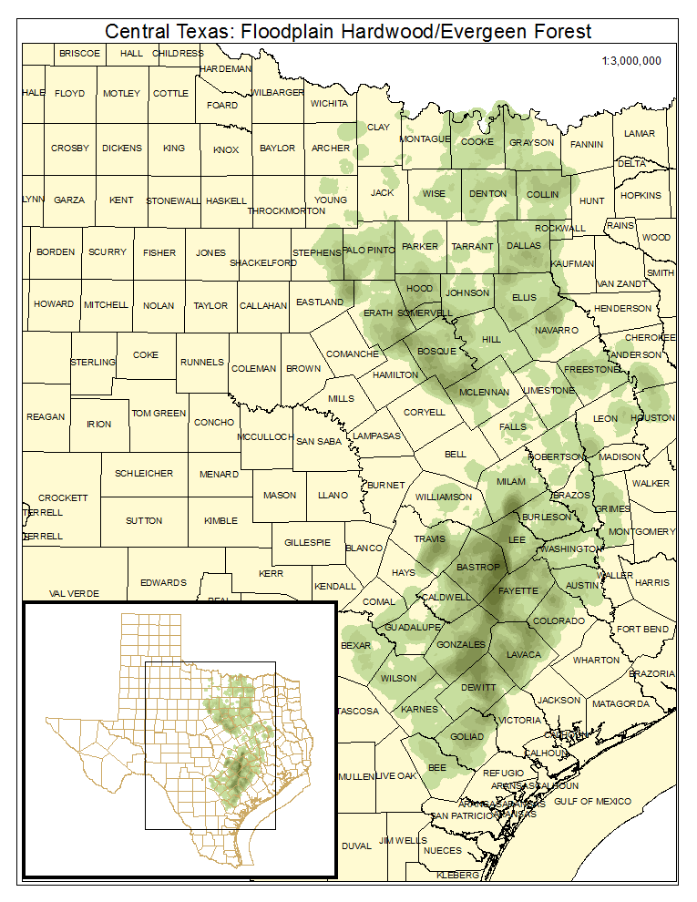 Central Texas: Floodplain Hardwood / Evergreen Forest