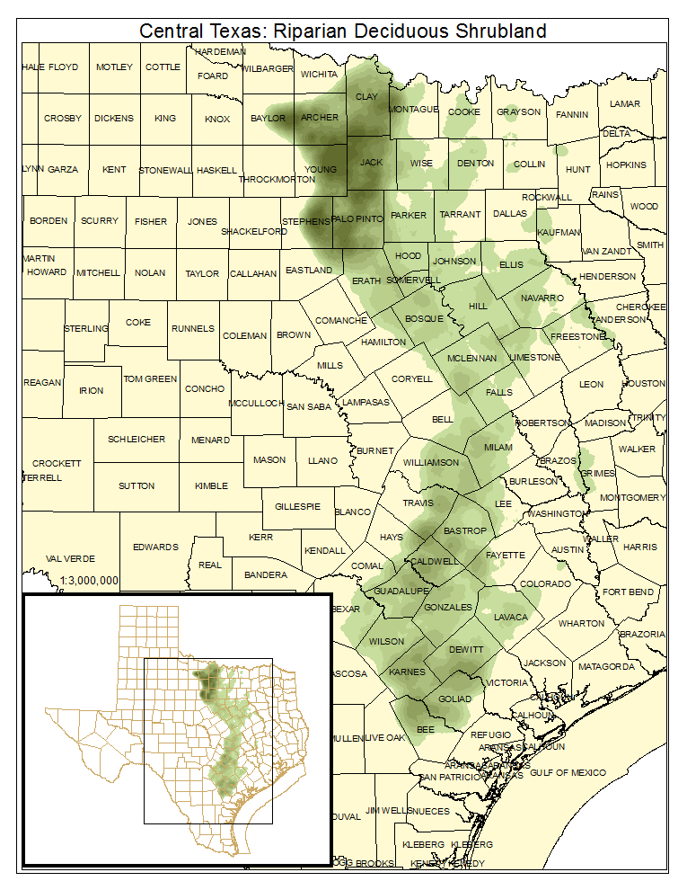 Central Texas: Riparian Deciduous Shrubland