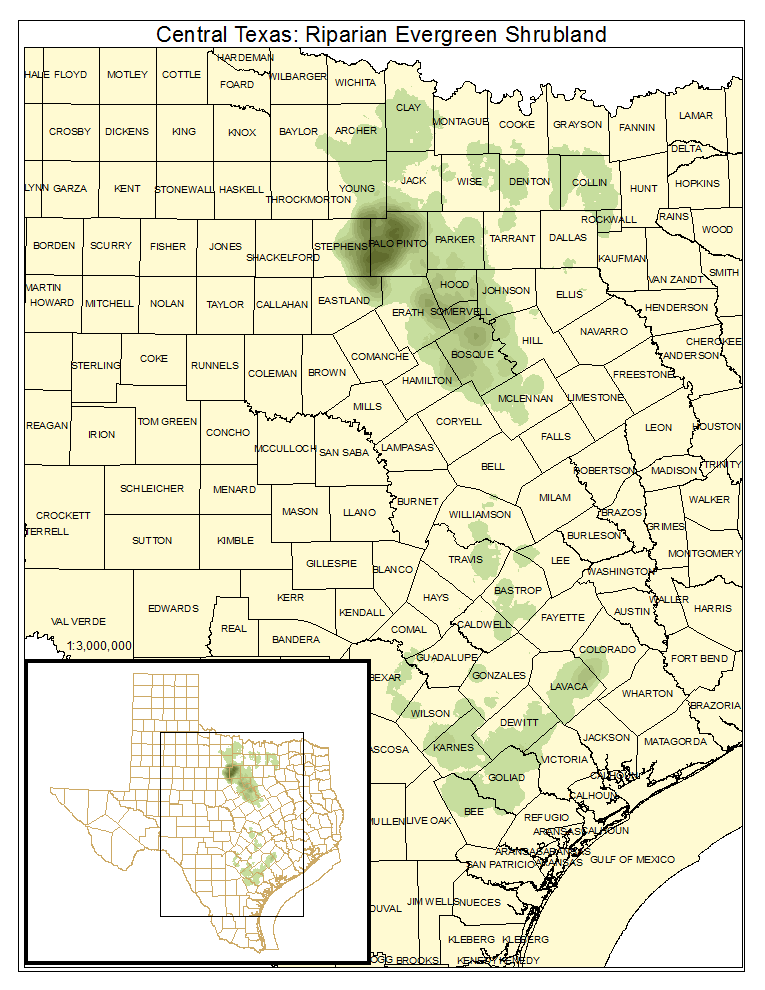 Central Texas: Riparian Evergreen Shrubland