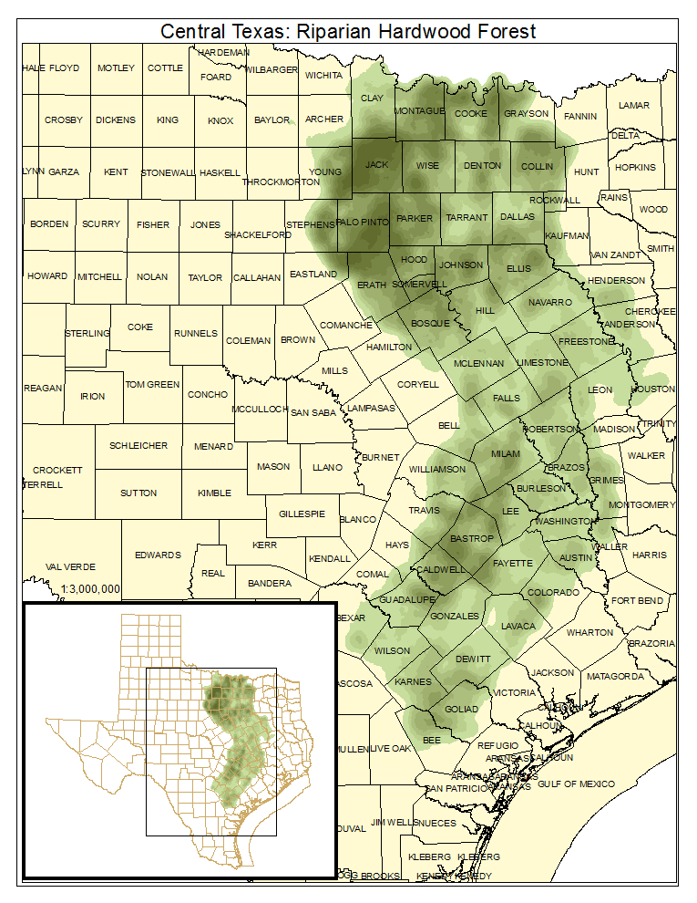 Central Texas: Riparian Hardwood Forest