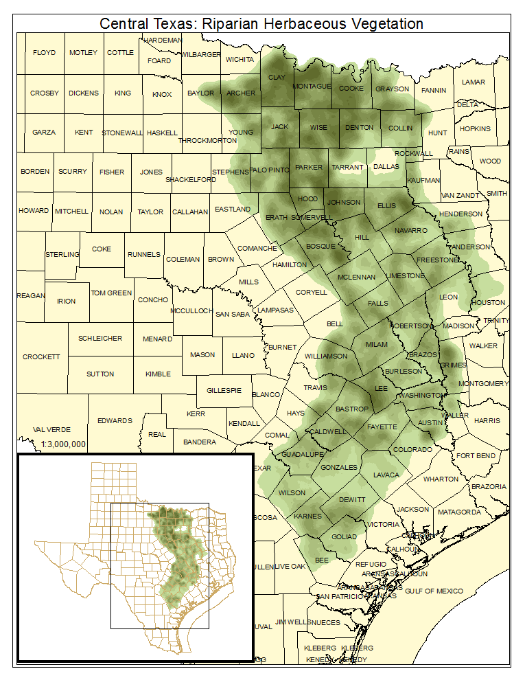 Central Texas: Riparian Herbaceous Vegetation