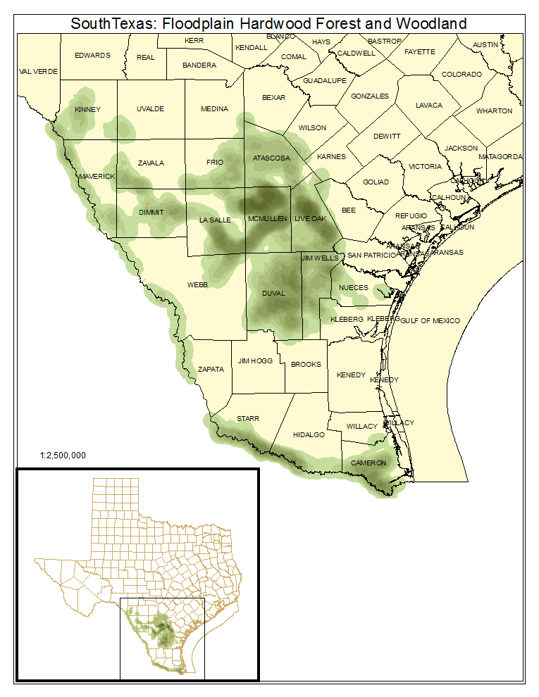 South Texas: Floodplain Hardwood Forest and Woodland