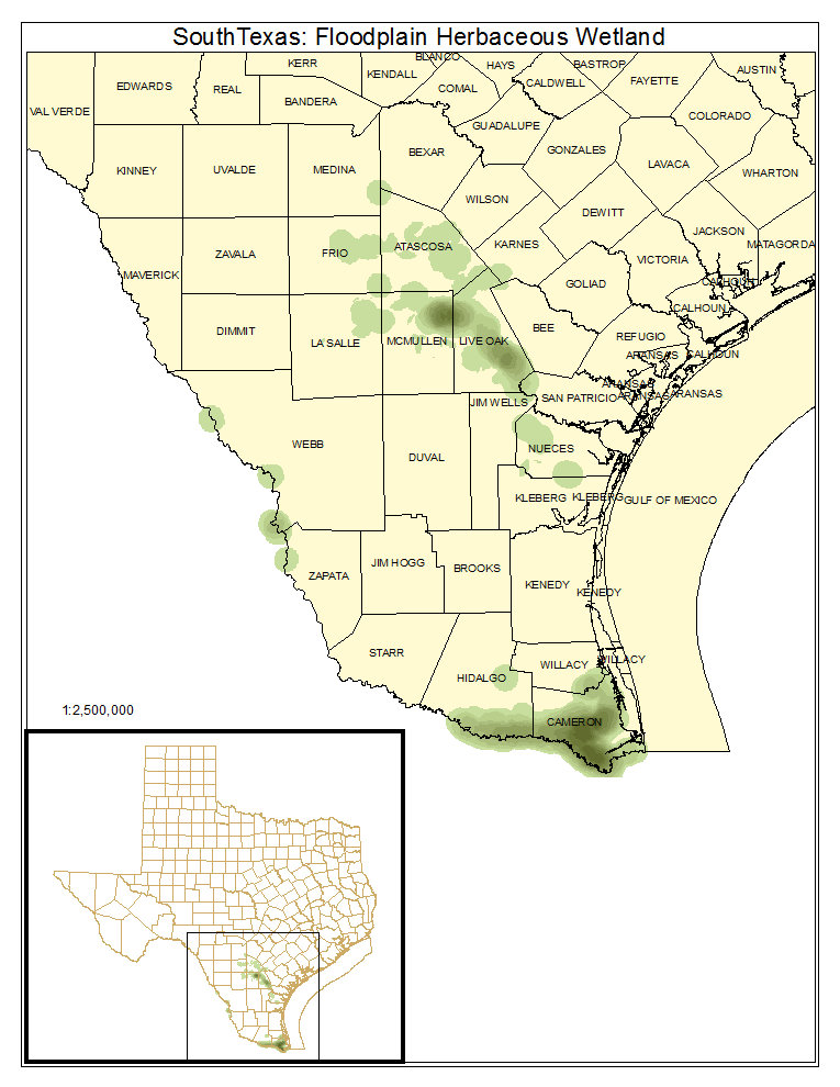 South Texas: Floodplain Herbaceous Wetland