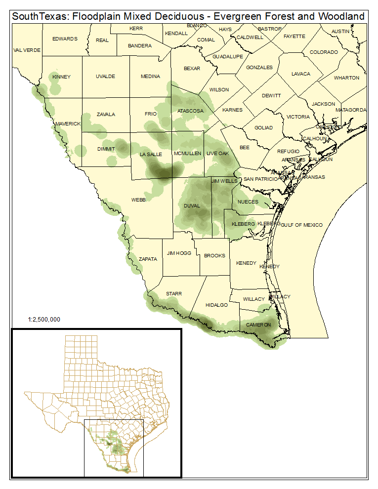 South Texas: Floodplain Mixed Deciduous / Evergreen Forest and Woodland