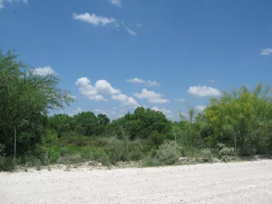 Example South Texas: Ramadero Evergreen Woodland.jpg