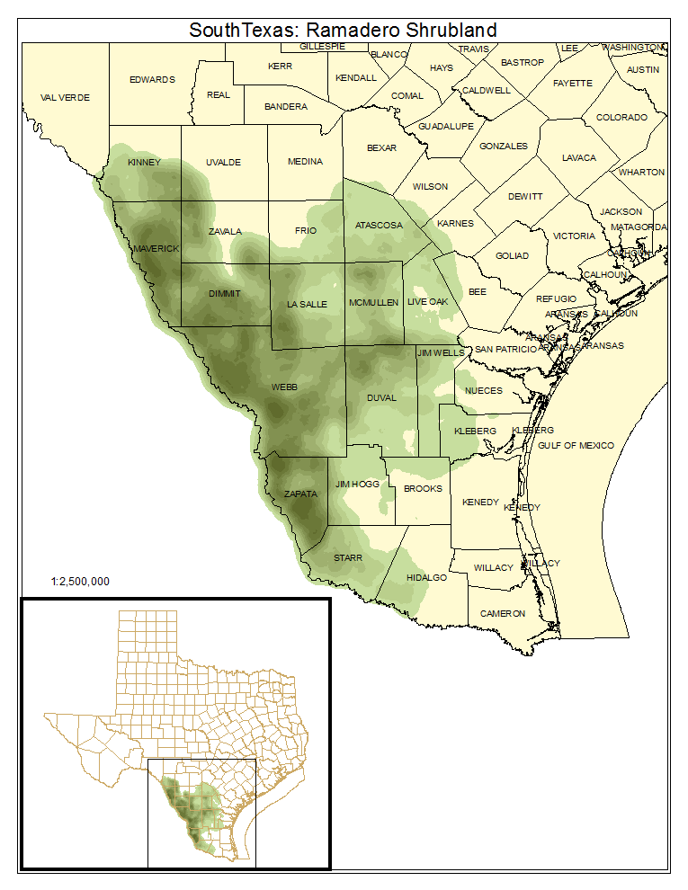 South Texas: Ramadero Shrubland