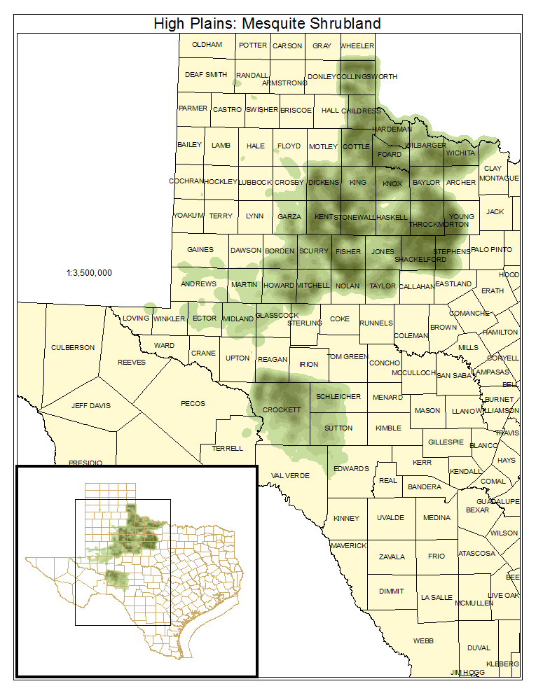 High Plains: Mesquite Shrubland