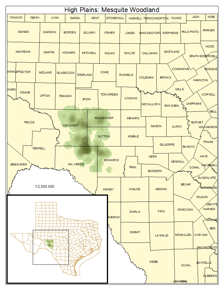 High Plains: Mesquite Woodland