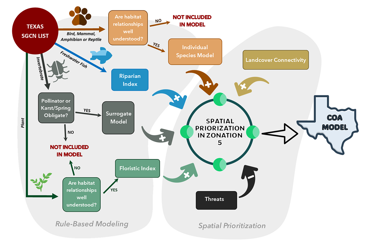 COA Methodology flow chart