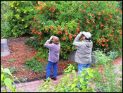 Nature Enthusiasts at Newbury Park Hummingbird Garden in Aransas Pass