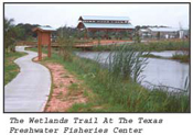 The Wetlands Trail at the Texas Freshwater Fisheries Center