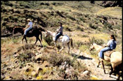 Image of three riders on horseback along a rocky trail