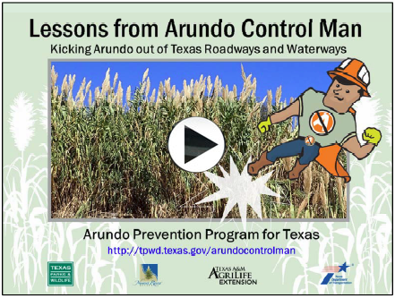 Video-Lessons from Arundo Control Man