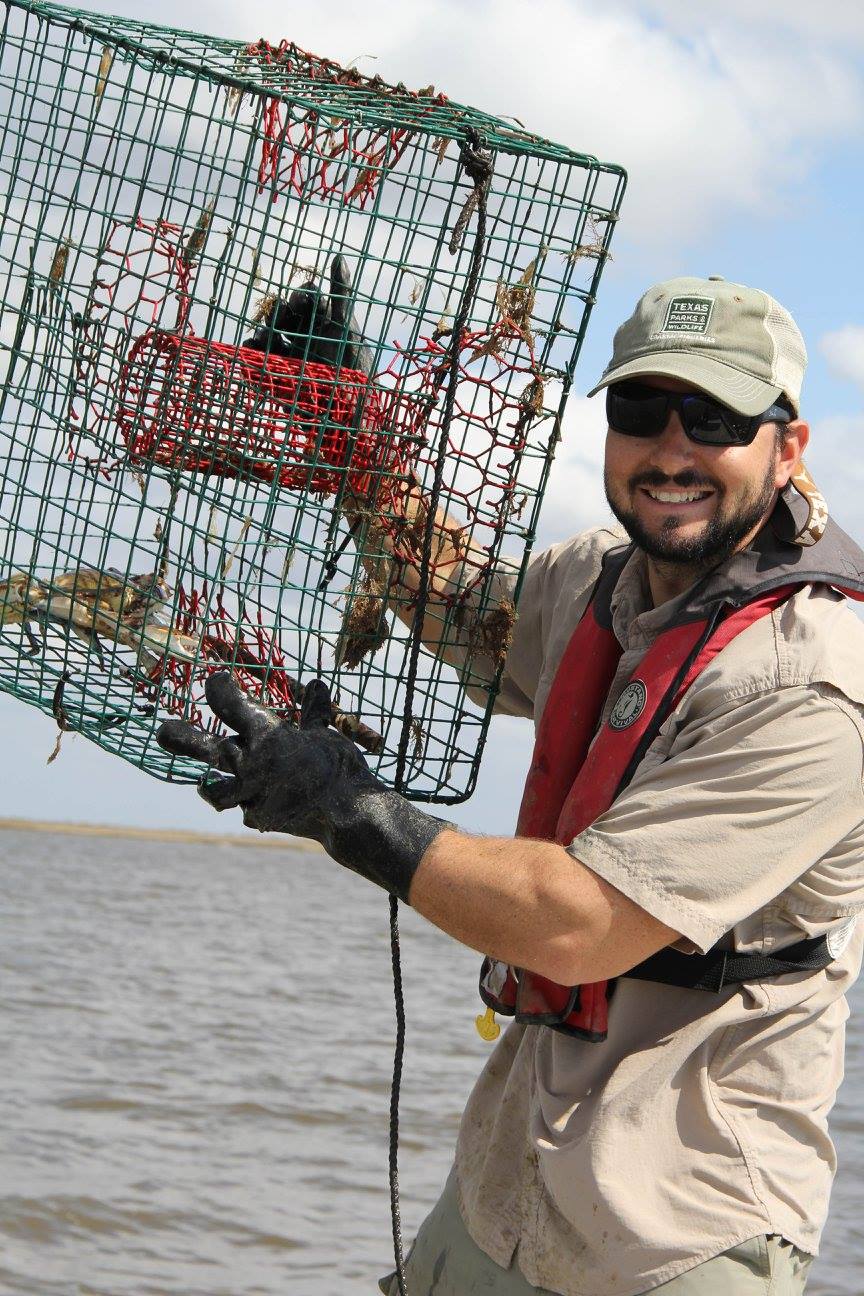 Staff member collecting Traps