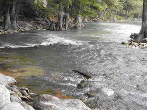 Photo of stream riffles and rapids
