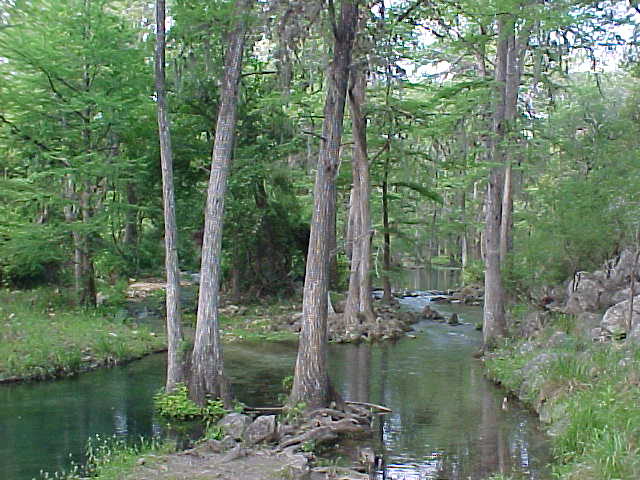 Honey Creek, Texas