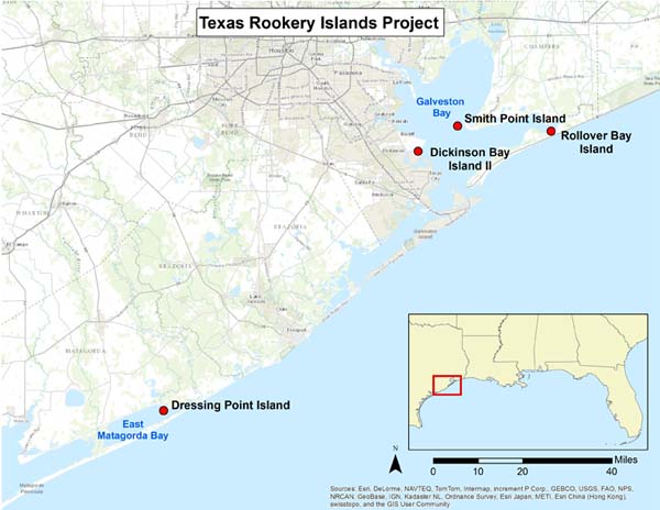 map showing locations of 4 rookery islands on Texas coast