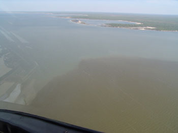 Cayo del Grullo, Baffin Bay 2005