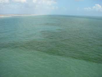 Discolored water in Gulf, aerial view