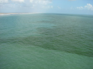 Red tide along Texas Gulf Coast, Oct.5, 2005