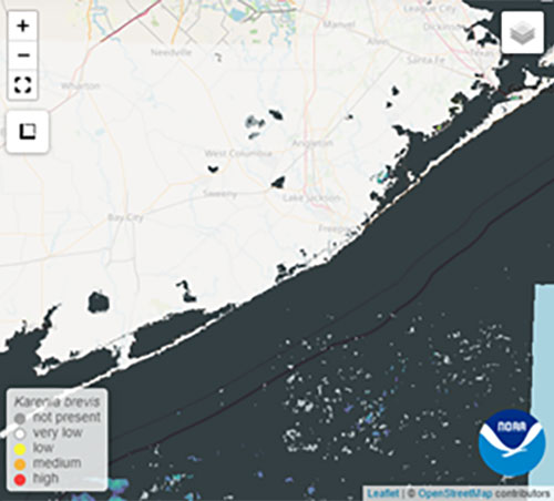 Matagorda-Galveston satellite imagery from 10/08/2023