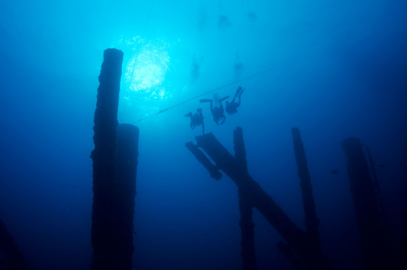 Divers on the reef.