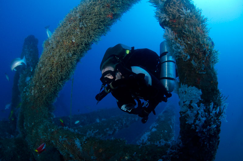 Diver explores reef.