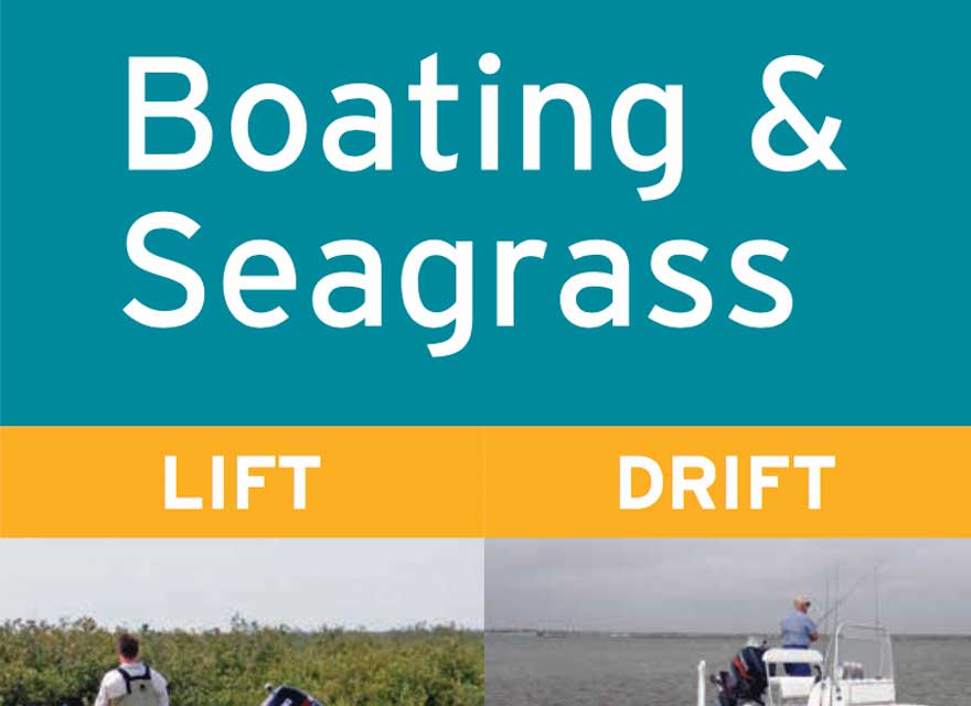 Boating and Seagrass Brochure - English