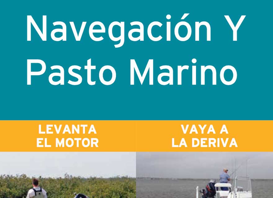 Boating and Seagrass Brochure - Spanish