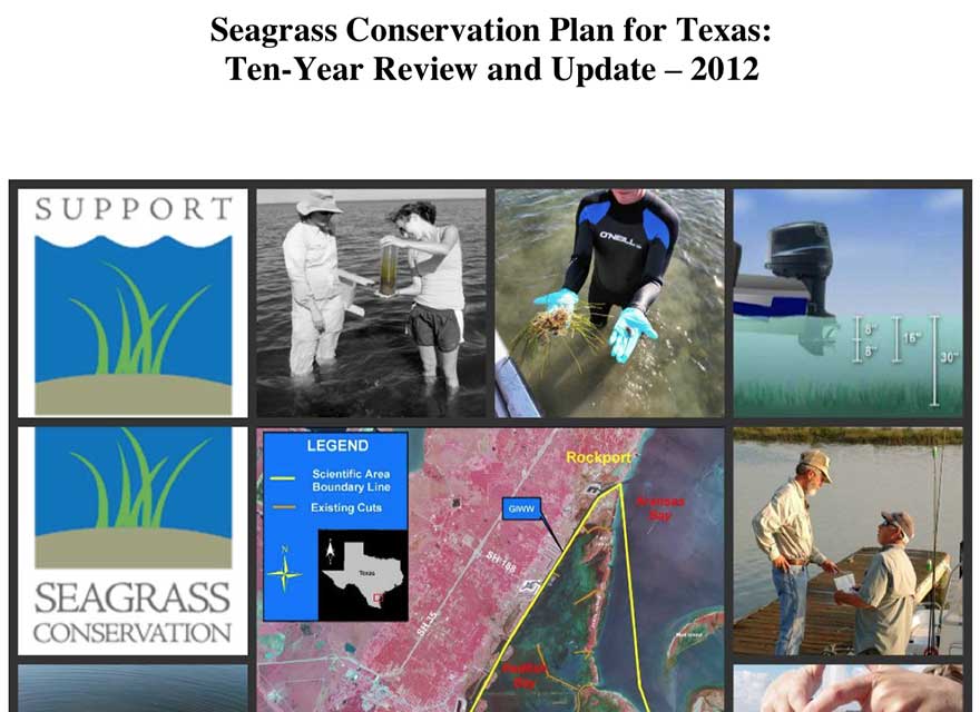 Seagrass Conservation Plan for Texas: Ten-Year Review and Update