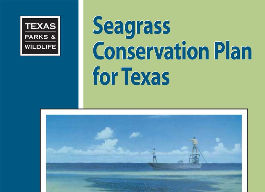 Seagrass Conservation Plan for Texas - 1999