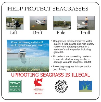 help protect seagrass