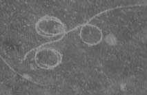 prop scar5.jpg