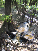 A creek in East Texas, flowing to the Neches River.