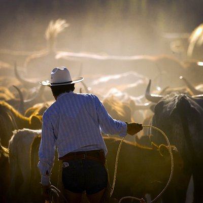 Big Bend Ranch-Cattle Drive_final.jpg